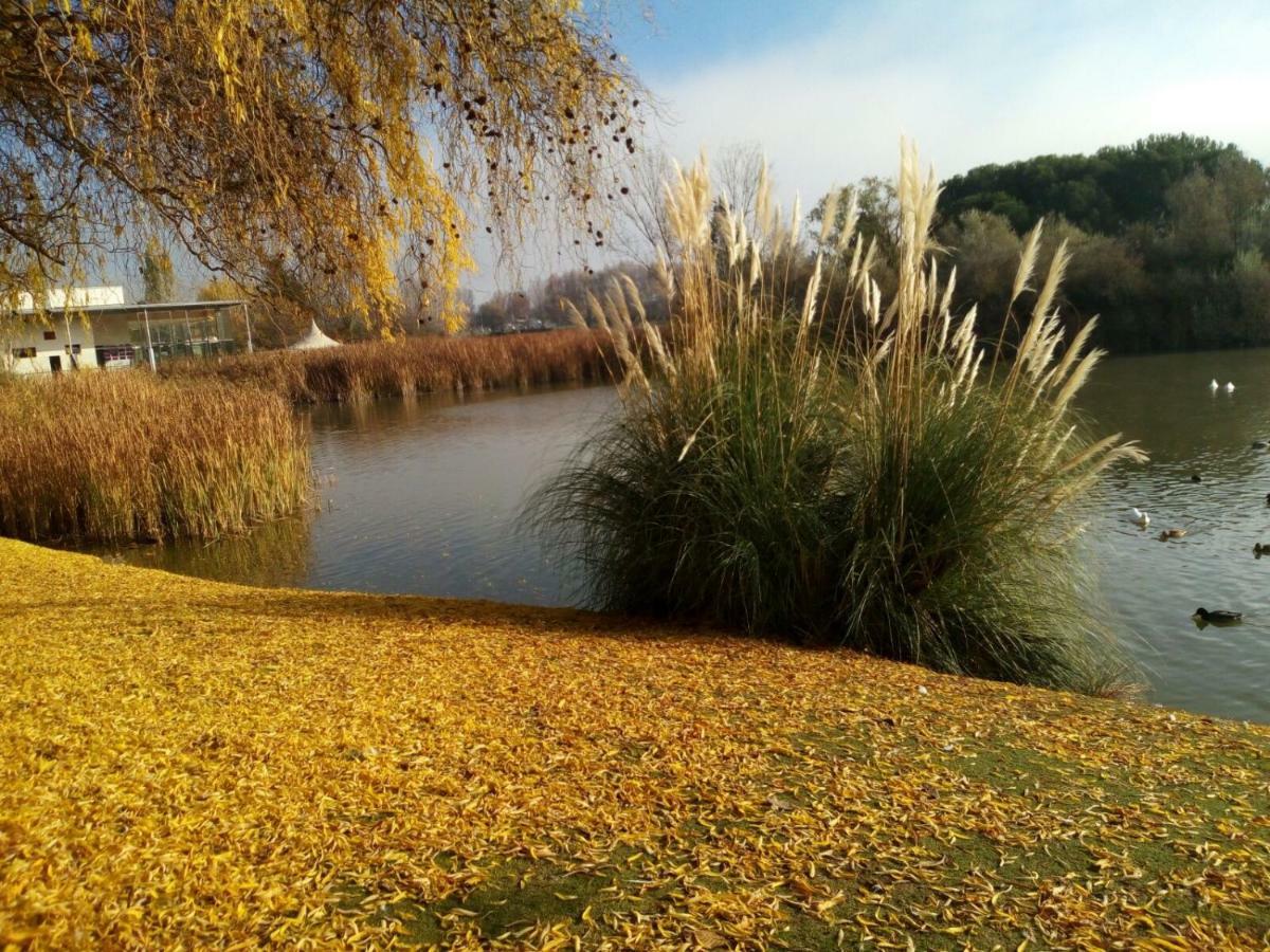 La Laguna Lägenhet Laguna de Duero Exteriör bild